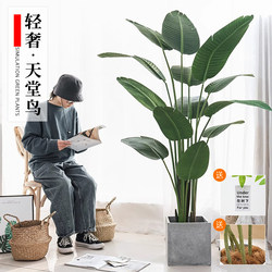 Artificial Green Plants, Fake Plants, Traveler's Banana, High-End Light Luxury Decoration, Indoor Potted Plants, Simulated Bird of Paradise, Living Room Ornaments, Tree