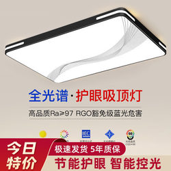 2025 New Model Led Ceiling Light for Room, Bedroom, Living Room, Hall, Modern Simple and Elegant Zhongshan Lighting Fixtures 2