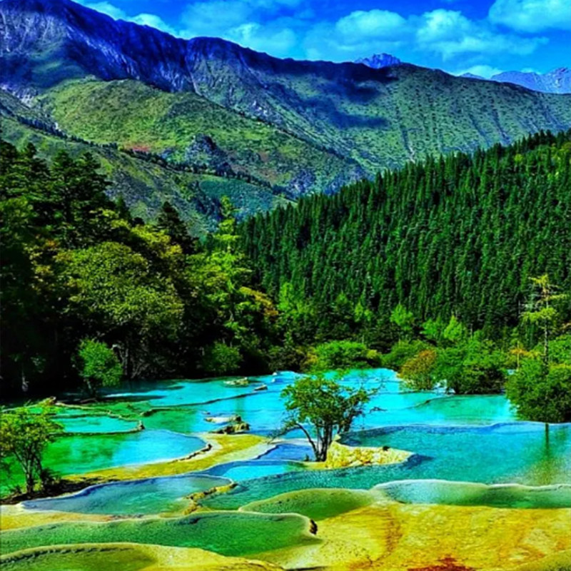 双飞/双动|四川旅游5天4晚0购物|成都九寨沟黄龙熊猫乐园/都江堰