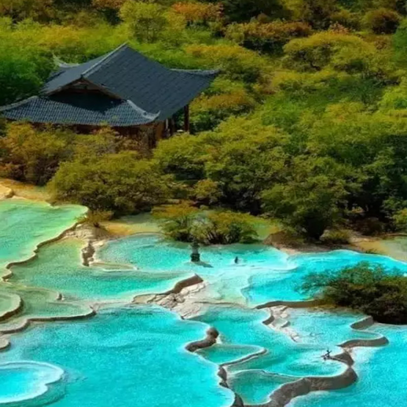 6天5晚纯玩|2+1保姆车四川旅游三星堆九寨沟黄龙都江堰大熊猫基地