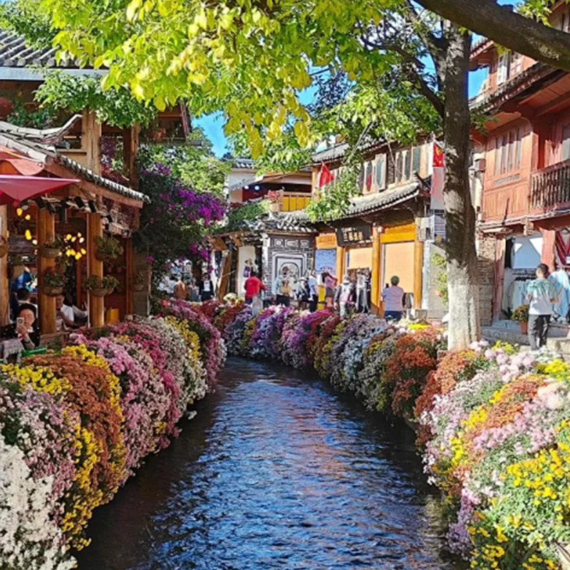 云南纯玩旅游6天5晚 | 昆明大理丽江洱海玉龙雪山云杉坪蓝月谷