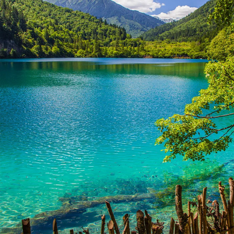 云南10天9晚双动纯玩跟团游昆明大理丽江西双版纳玉龙雪山野象谷