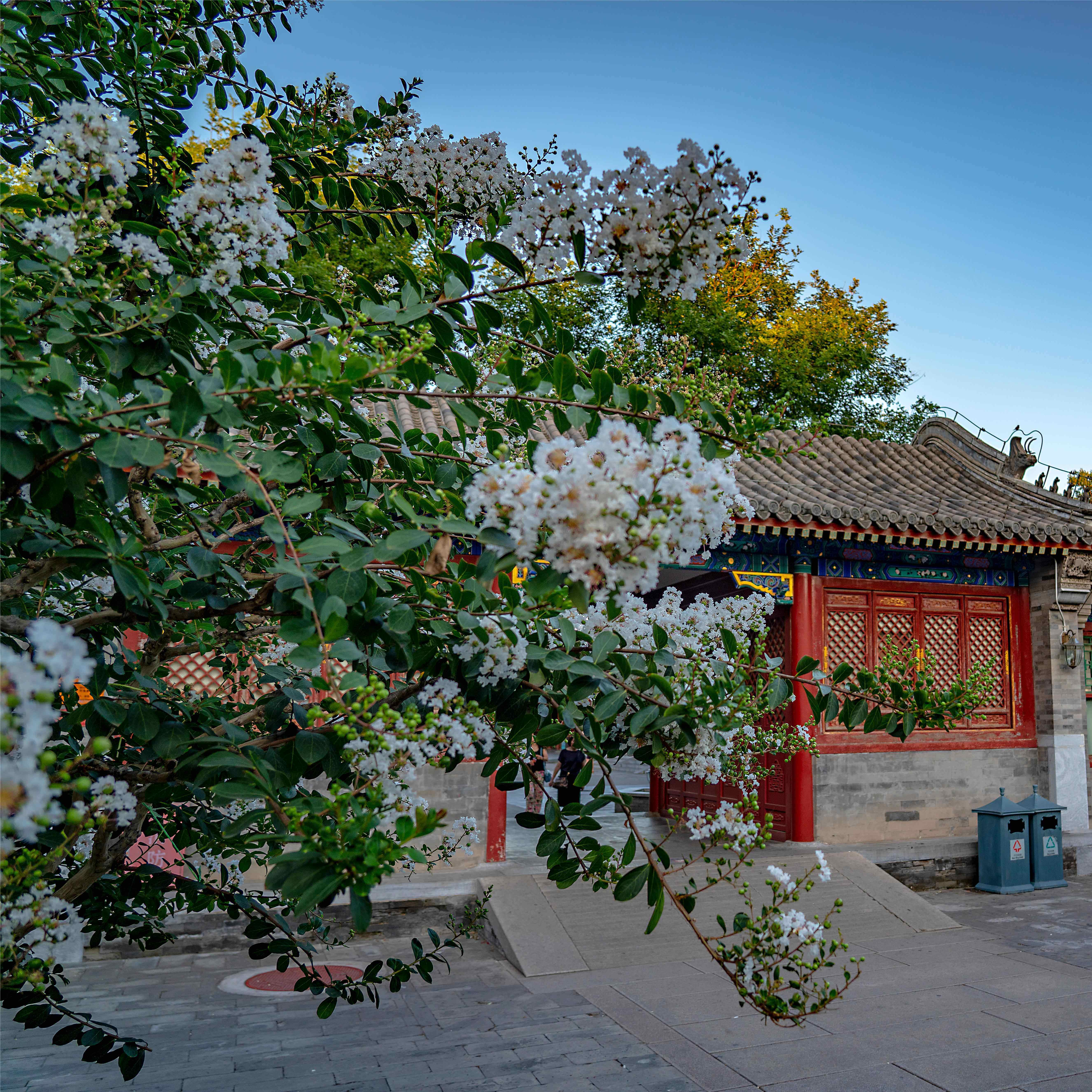 北京 恭王府 一日游 【含门票】可选15人团/王府双园/人工讲解