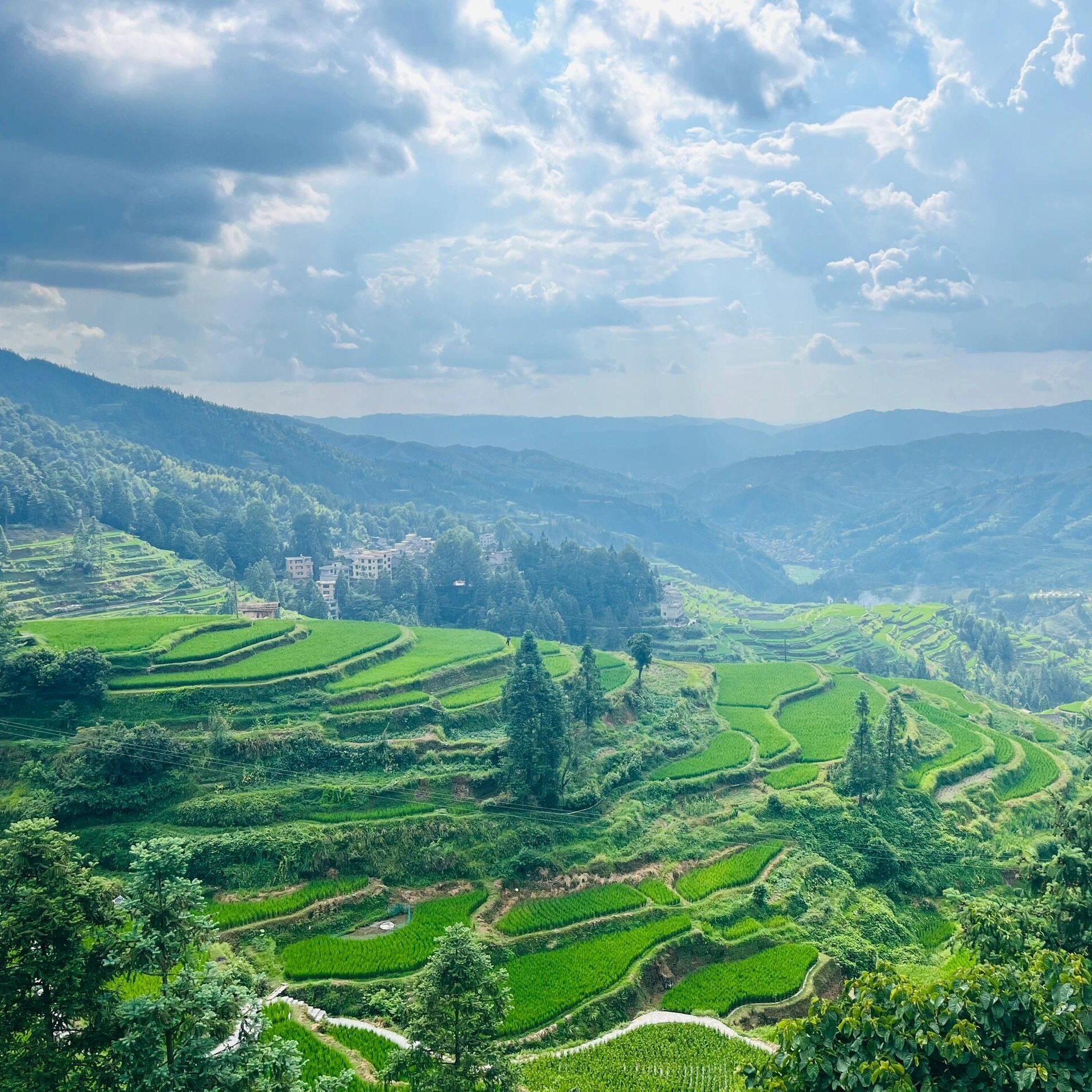 贵州旅游2-6人团3日游加榜梯田肇兴侗寨岜沙苗寨扎染 从江往返C线