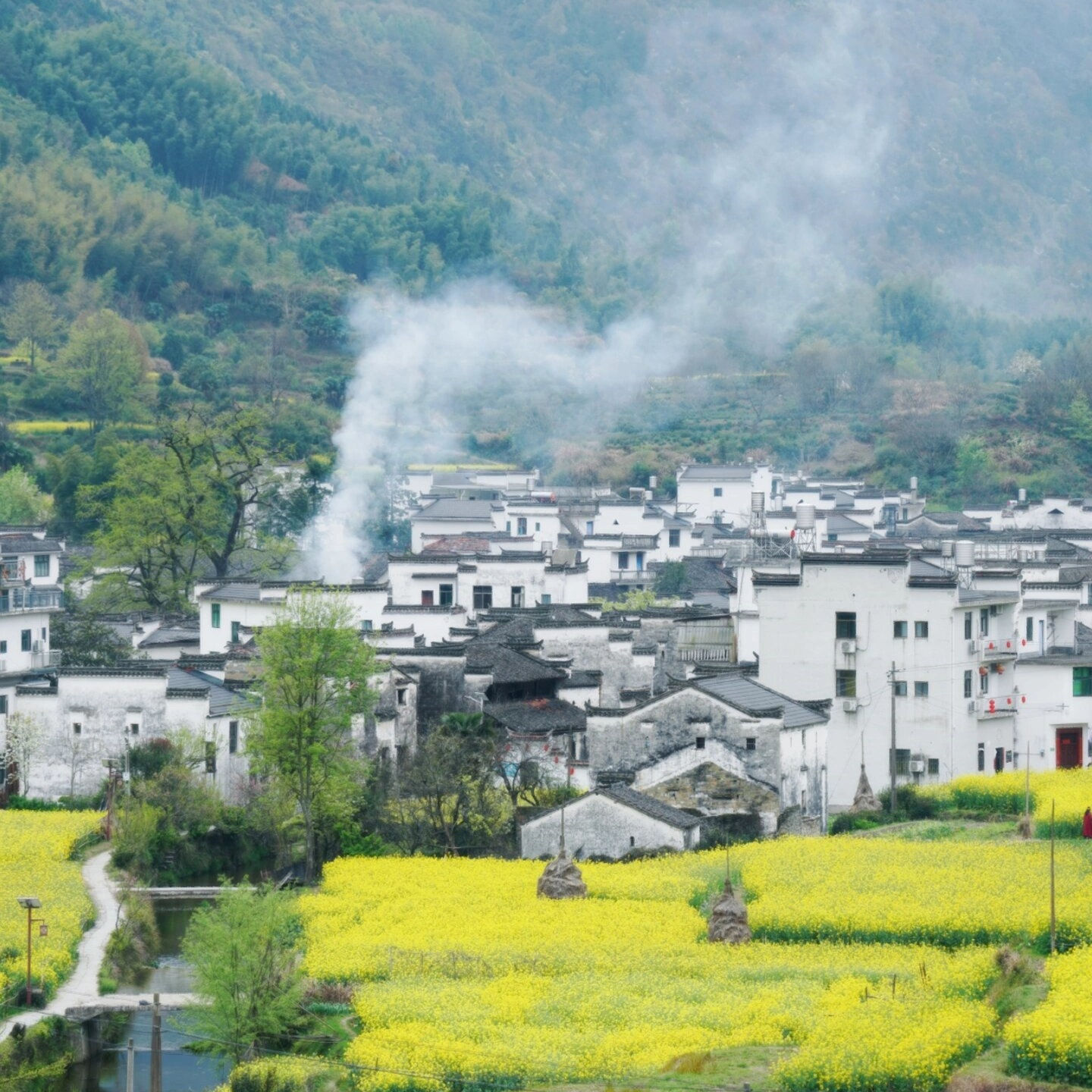 江西婺源【东北线】龙天塔+察关村+三眼桥+庆源2-6人团包车一日游