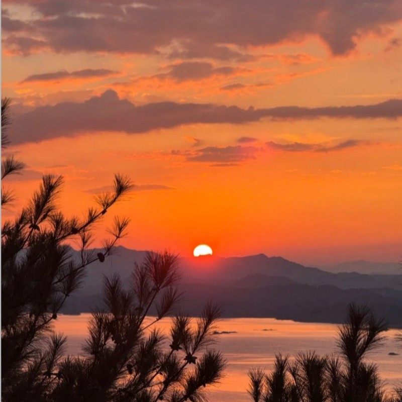 杭州千岛湖纯玩一日游(2-6人团中心湖游船登岛天屿山日落植物园)