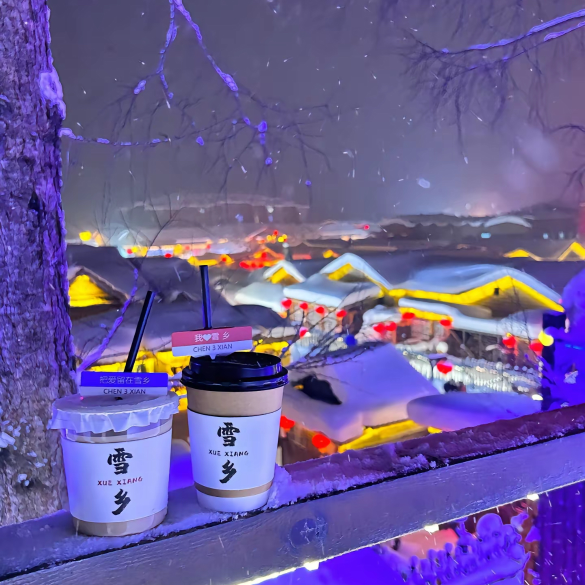 东北旅游哈尔滨亚布力雪乡2日游纯玩精品2-8小团亚布力西站起止