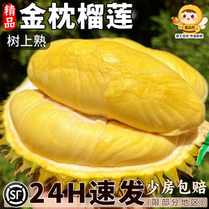 
Golden pillow durian SF free shipping fresh fruit from Thailand one whole fresh fruit with shell 10*0.5kg whole box imported in season