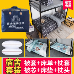 Bedding set Student dormitory single quilt four seasons universal bedding four-piece set quilt winter quilt core full set