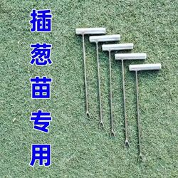 Onion Seedling Planting Tool, Onion Planting Tool, Small Onion Seedling Planter, Onion Fork, Onion Planter