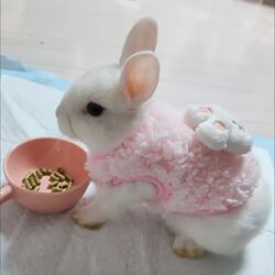 Super Small Rabbit Clothes, Autumn and Winter Warm Fleece Vest, Small Dog Pet Rabbit Clothing, Cute Rabbit Clothes