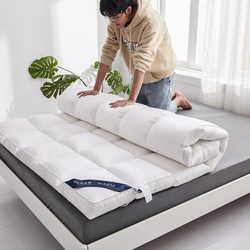 Home Mattress, Thickened Foldable Mattress, Feather Velvet Cushion, Guesthouse down Tatami Mattress, Soft Pad, Rental Bed Cover