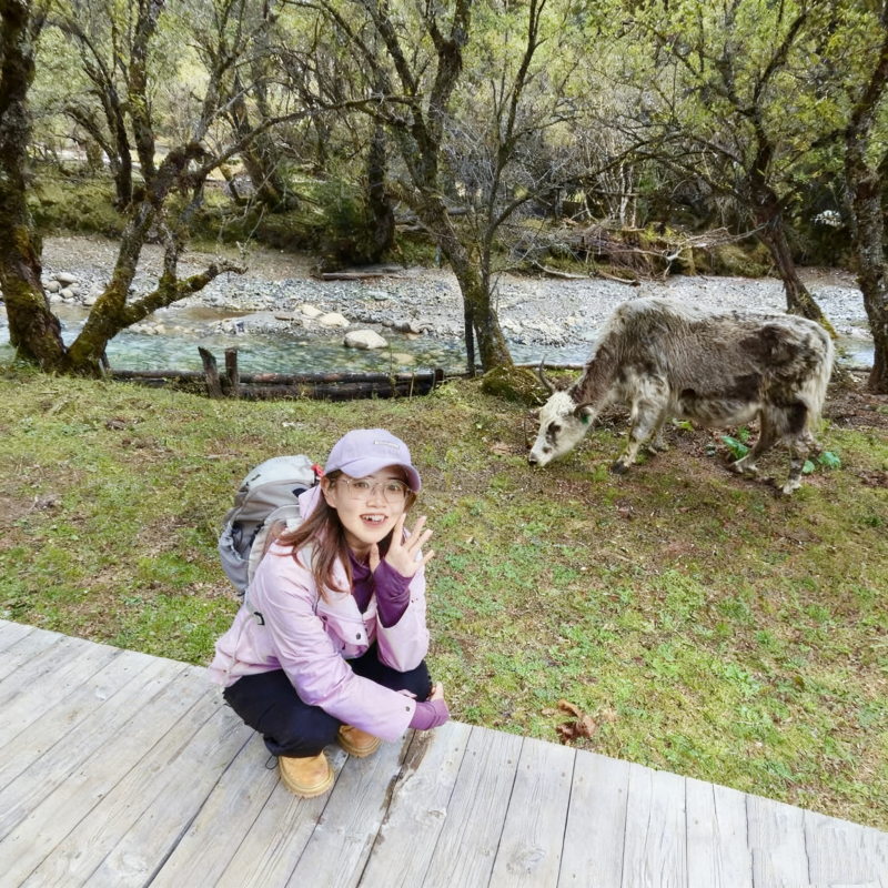 成都往返四姑娘山|可选双桥沟/长坪沟纯玩无购物|雪山峡谷一日游