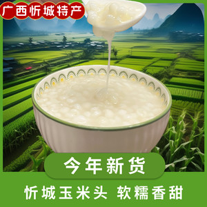 Guangxi Xincheng glutinous corn head white pearl corn grain dried corn peeling porridge porridge sugar water corn gardenia small granules