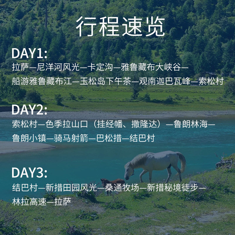4人小团西藏旅游林芝雅鲁藏布江鲁朗巴松措新措3天2晚拼车跟团游