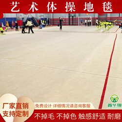 Artistic Gymnastics Carpet, Free Gymnastics, Aerobics, Dance, Competition, Training, Special Thickened Cheerleading Floor Mat