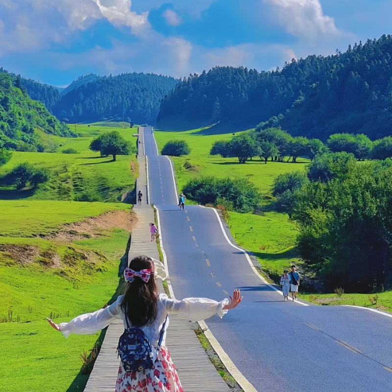 渝你相约【重庆纯玩5日游】【武隆天坑仙女山+乌江阿依河】洪崖洞