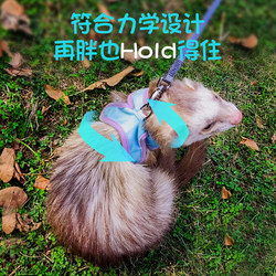 Aiyou traction baby bag pet ferret small pet outdoor buckle-free lightweight close-fitting clothing traction rope size adjustable