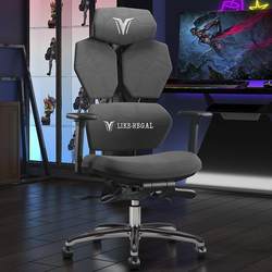 Computer Chair for Home, Room, Office, Gaming, Luxury Gaming Chair, Comfortable for Long Sitting, Ergonomic Bed Cover