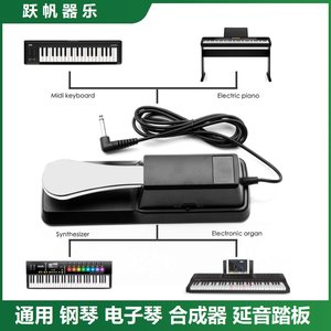 
General Piano Electronic Piano Electric Piano Sustain Pedal Midi Keyboard Synthesizer Electric Steel Foot Pedal