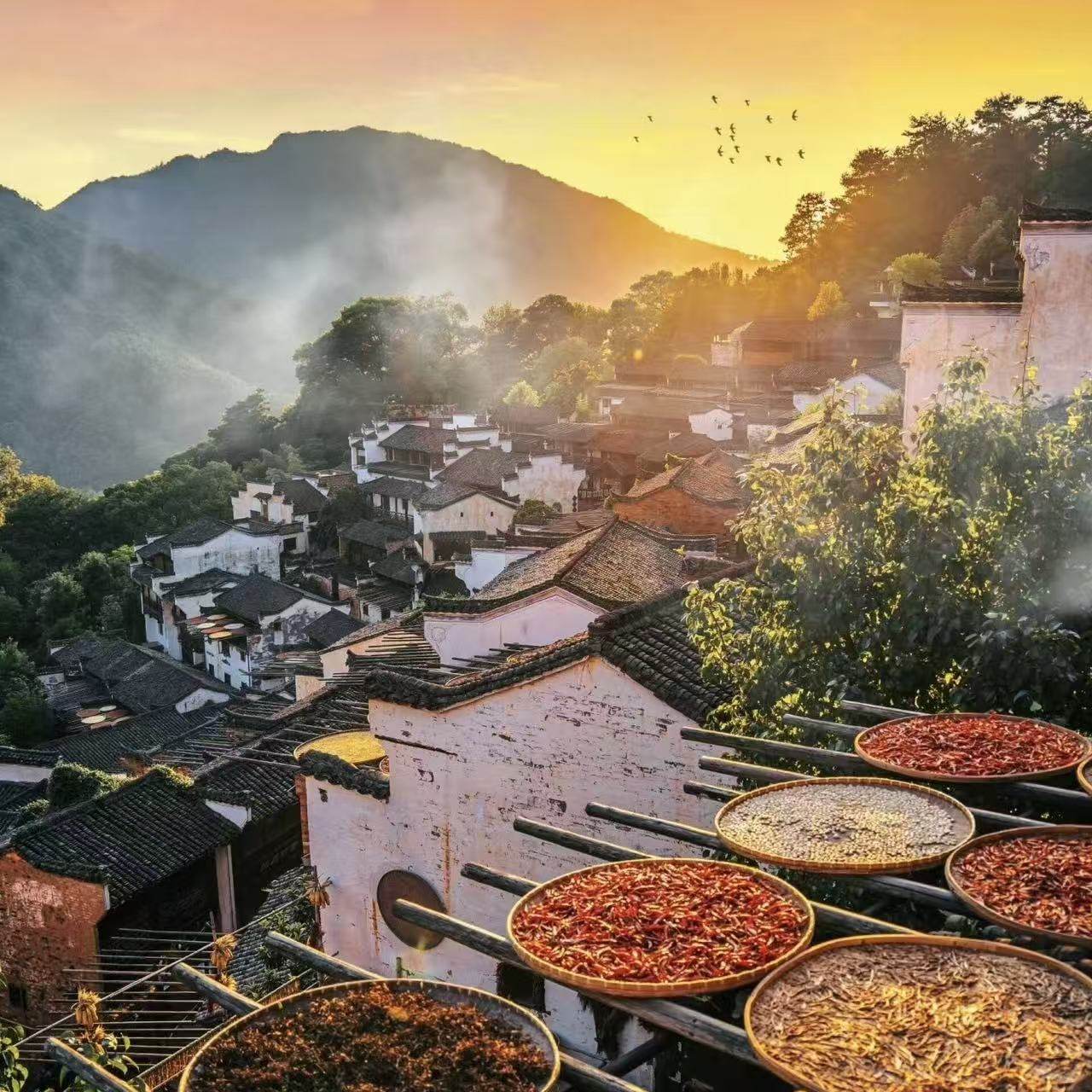 【望庐山瀑布 住五钻】2-7人南昌景德镇婺源5天三清一价全含机票