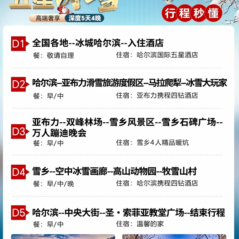 【12人高端纯玩团 】哈尔滨雪乡6天滑雪东北餐旅拍vlog0自费机票