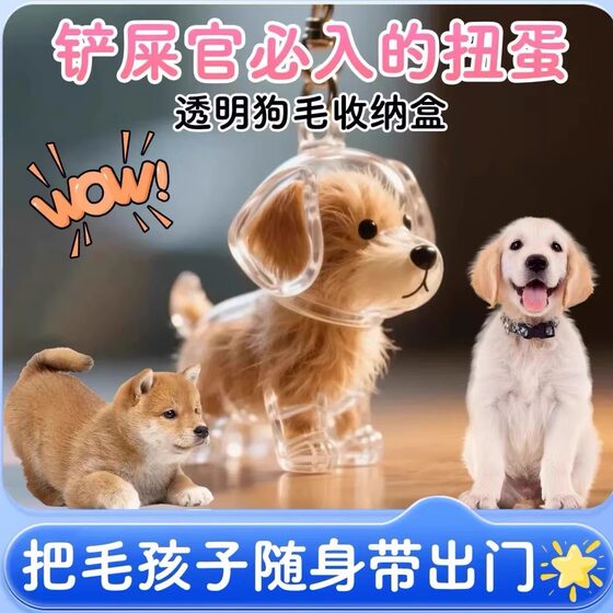 Cute puppy hair transparent storage box cat dog shape pendant decoration commemorative dust box collection toys