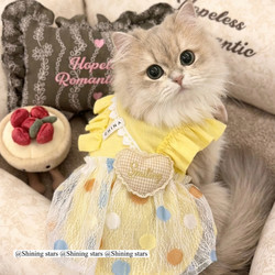 Spring and Summer Thin Clothes for Pets to Prevent Shedding, Cat Princess Dress, Dog Skirt, Coat, Puppy and Cat Dress