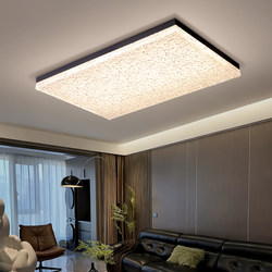 Italian Minimalist Living Room Main Light Ceiling Lamp 2025 New Model This Year's Popular Light Luxury High-End Zhongshan Lighting Fixtures