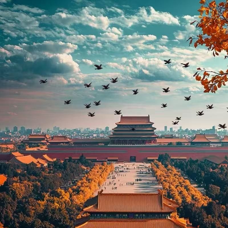 北京故宫博物院(故宫)精讲半日游【含门票+导游精讲+无购物】