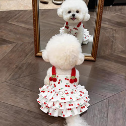 Dog Clothes Spring and Summer New Pet Dress with Leash for Teddy, Bichon, Small Dogs, Cats, and Yorkshire Terriers