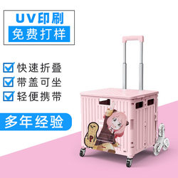 Roller Skate Suitcase, Trolley Case, Skate Storage Box, Children's Portable Folding Trolley for Skating, Can Be Used as a Small Shopping Cart