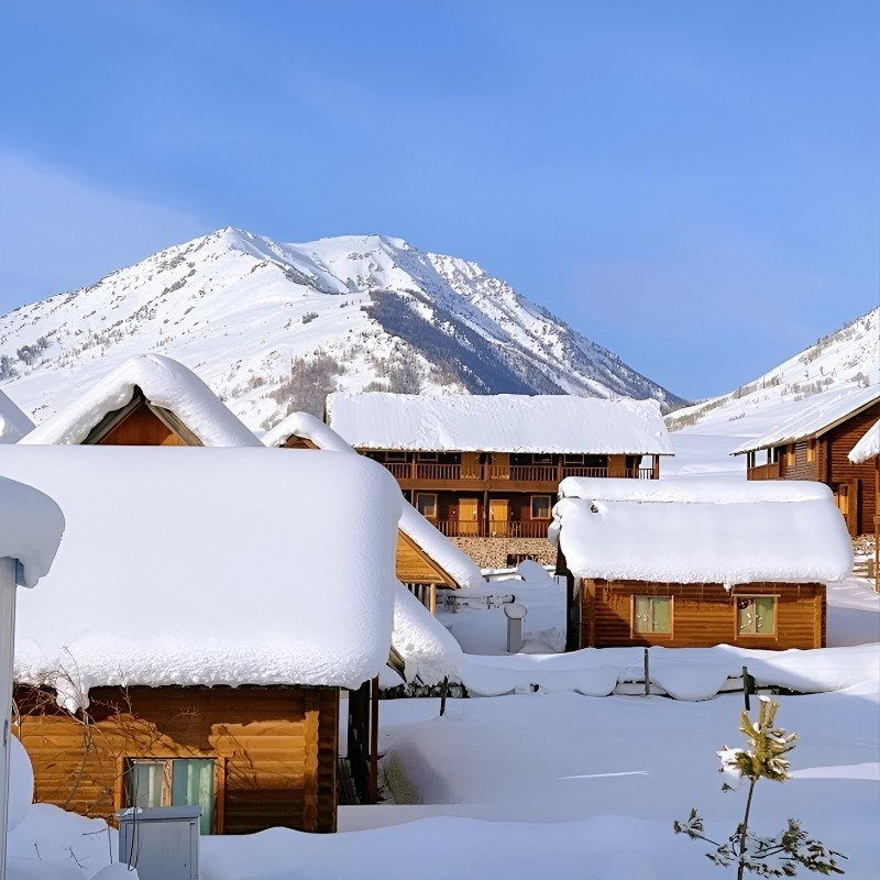 【全国出发】哈尔滨雪乡旅游亚布力2+1头等舱4钻酒店纯玩0自费5天