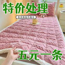Autumn and Winter Taffeta Student Dormitory Mattress Soft Cushion Home Bedroom Milk Velvet Mattress Single Thickened Mattress