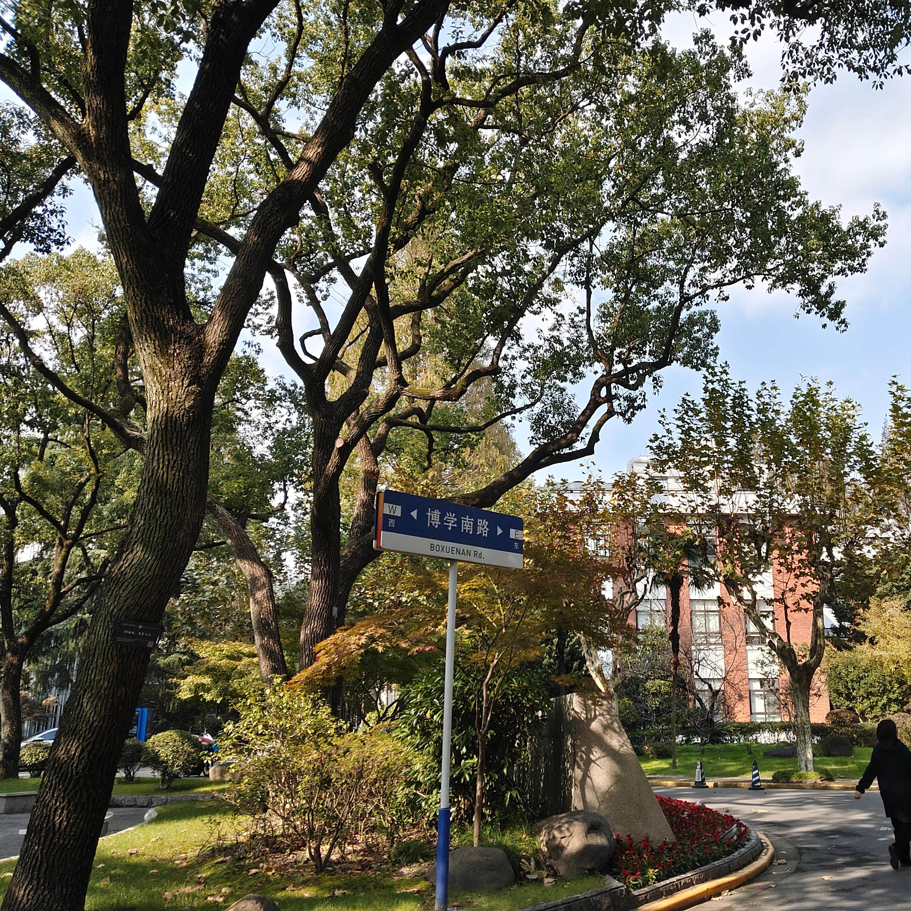 名校参访|中国最古老高校|上海复旦大学+人文导师导览服务半日