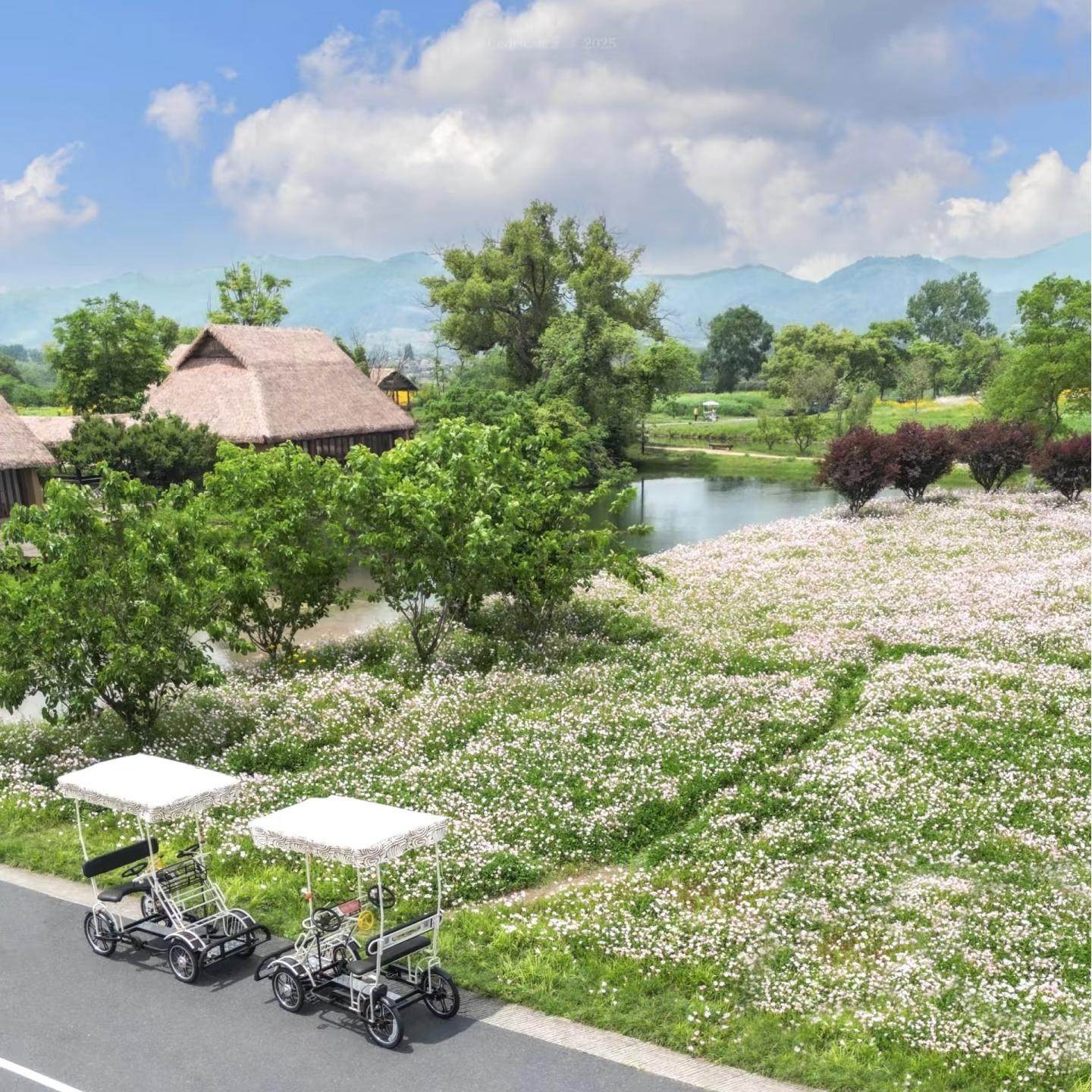 【包团】杭州良渚古城遗址公园(含观光车)+3小时讲解