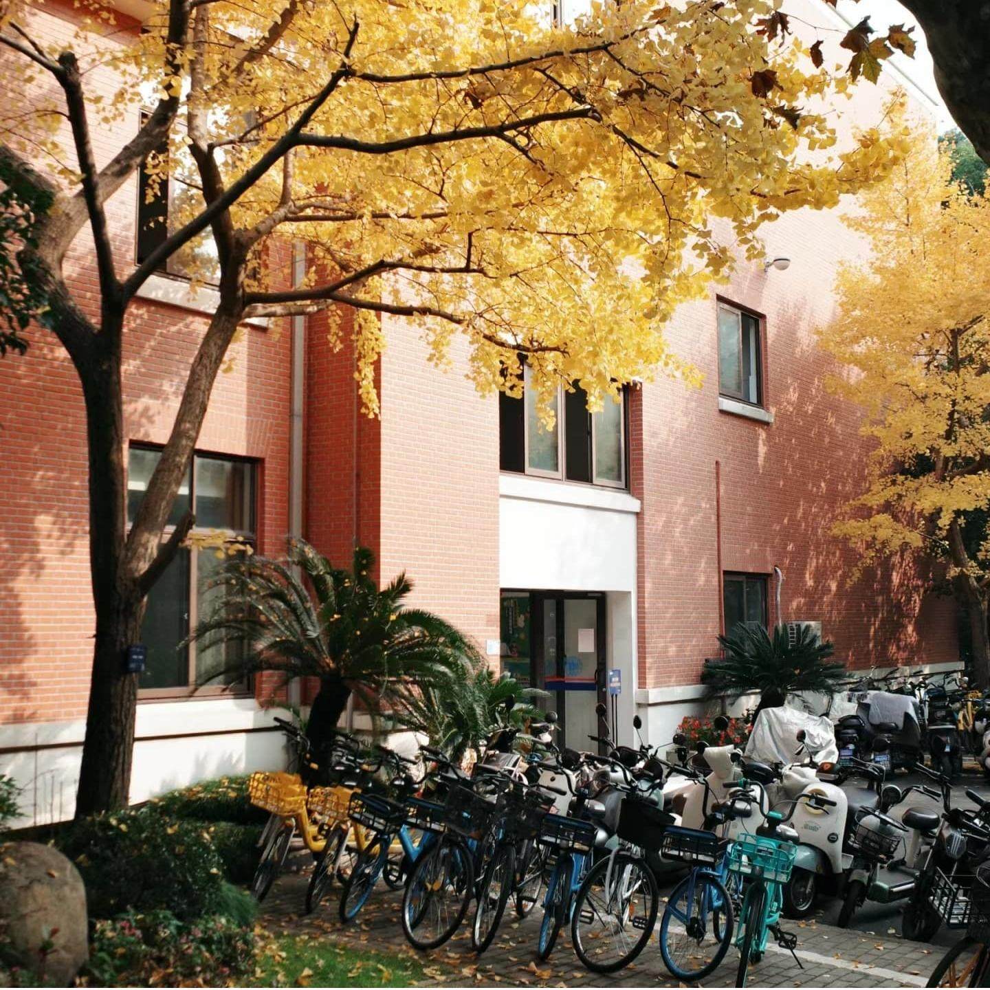 名校参访|探索创新前沿|感受名校魅力|上海同济大学+人文讲解半日