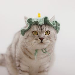 Handmade diy crochet yarn knitted pet clothing decoration cross-dressing dog collar bib cat hat material package
