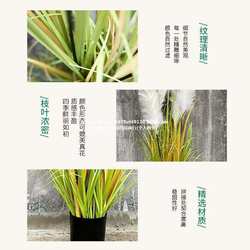 Simulation plant simulation green plants simulation reed onion grass simulation grass factory spot three-headed reed artificial plants
