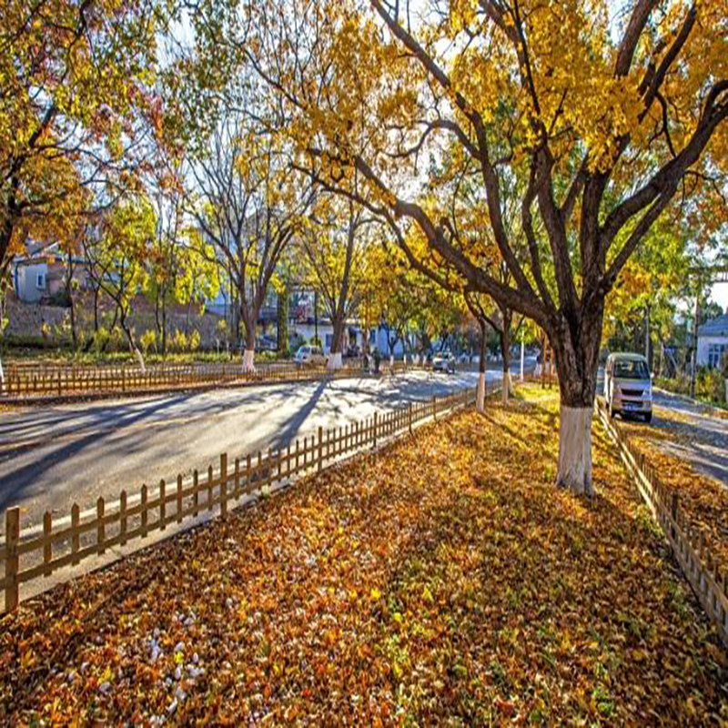 大连旅游2天1晚畅游 一家一车 棒槌岛+日俄监狱+ 精品小团