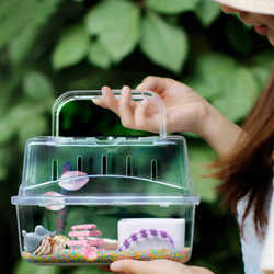 Hermit crab hand-held feeding box new photos