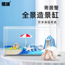 Hermit crab live novices breeding set