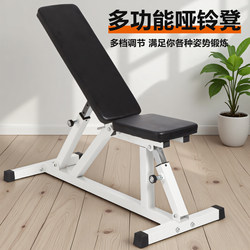Multifunctional Dumbbell Bench, Adjustable Men's Home-Use Sit-Up Board, Abdominal Exercise Board, Fitness Equipment, Bird Training Bench Press Chair