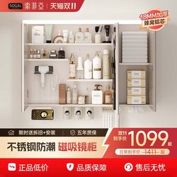 [Multifunctional Storage] Sofia Stainless Steel Mirror Cabinet
