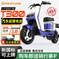 Deepin T300 Sports Edition 1.0 New Model New National Standard Electric Bicycle Black Knight Delivery Bike Commuting Electric Scooter