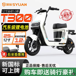 Deepin T300 Sports Edition 1.0 New Model New National Standard Electric Bicycle Black Knight Delivery Bike Commuting Electric Scooter
