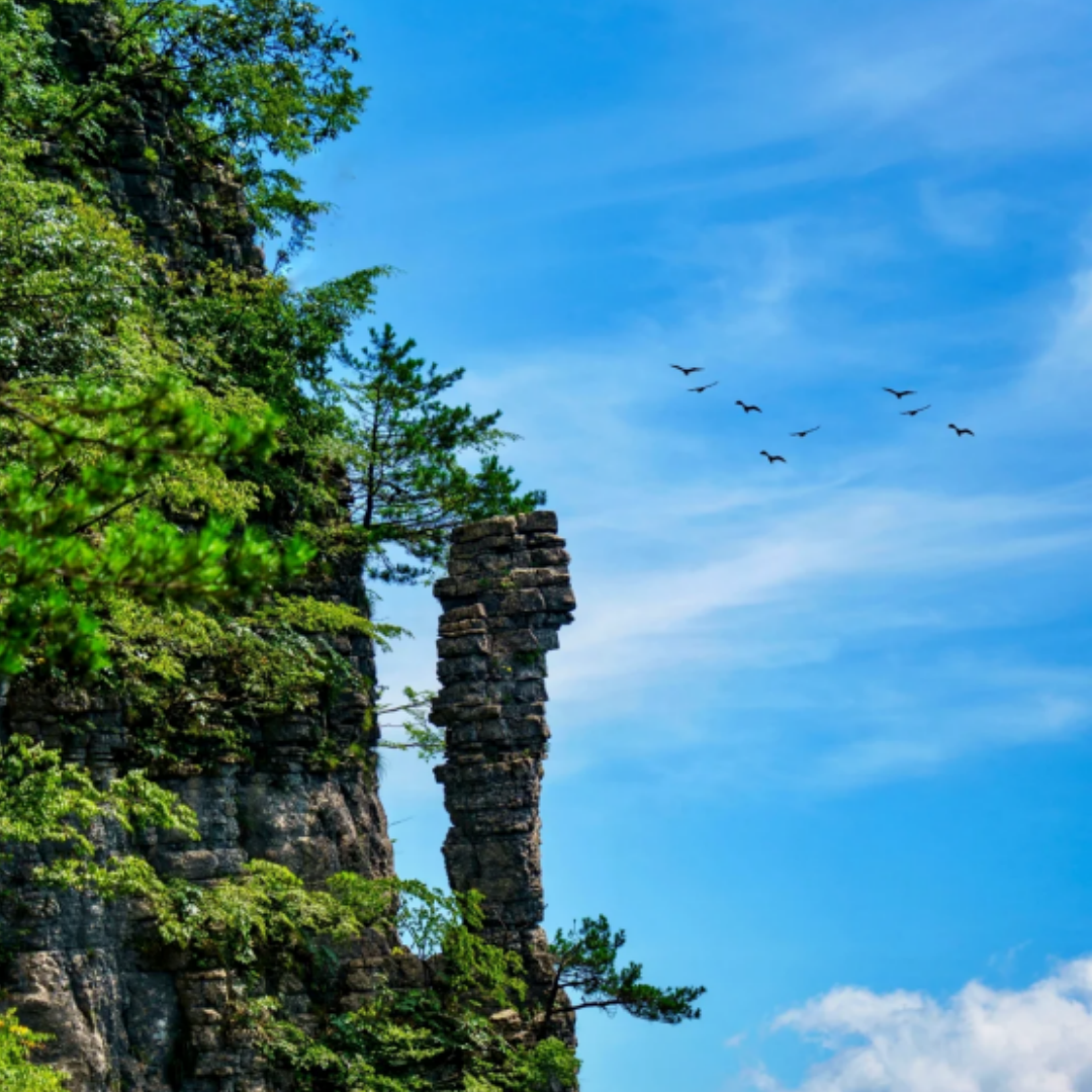 【恩施大峡谷】七星寨|云龙地缝|一日跟团游 |含大门票+车位+导服