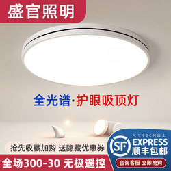 Newly Upgraded Full Spectrum Living Room Lamp Led Ceiling Lamp Simple Modern Atmospheric Hall Lamp Creative Bedroom Aisle Lamp