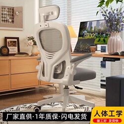Computer Chair, Comfortable for Long Sitting, Home Use, Backrest, Office Chair, Student Study Dormitory, Ergonomic Gaming Swivel Chair