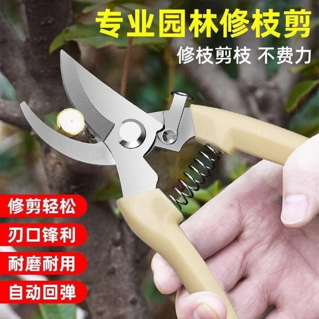Gardening, pruning, handmade flower scissors, fruit tree branches, pruning, flower scissors, special tool pruning artifact
